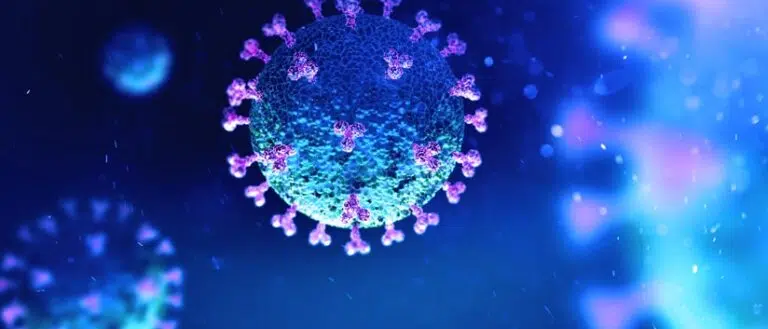 image of the corona virus