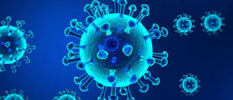 la crisis del coronavirus
