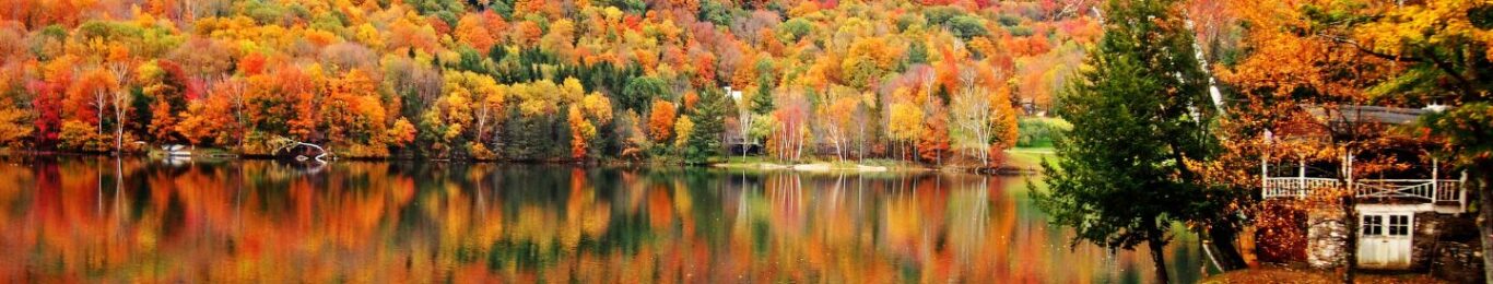 abogados en vermont
