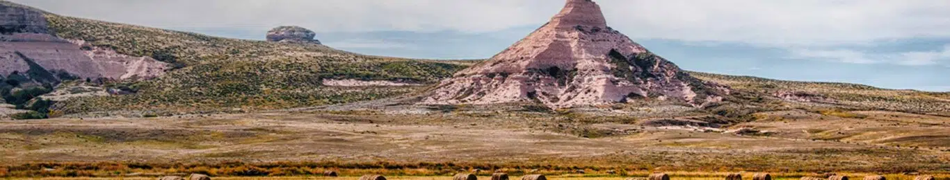 abogados en Nebraska