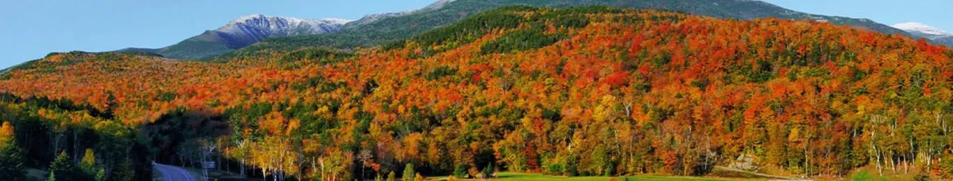 abogados en new hampshire