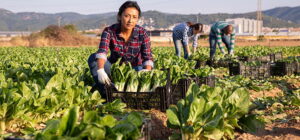 labor laws for immigrant workers
