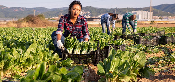 labor laws for immigrant workers